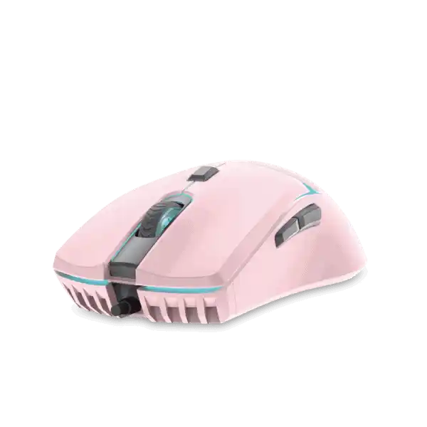 https://www.qolnexvarzi.info/images/products/big/100565.webp