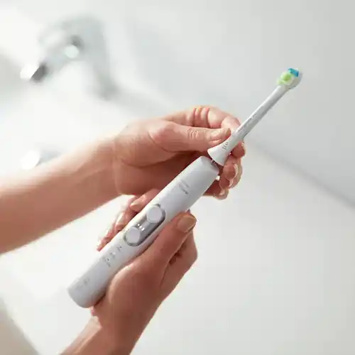 https://www.qolnexvarzi.info/images/products/big/102124.webp