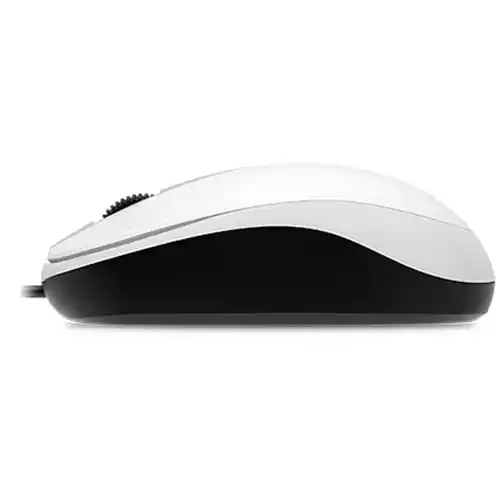 https://www.qolnexvarzi.info/images/products/big/103185.webp