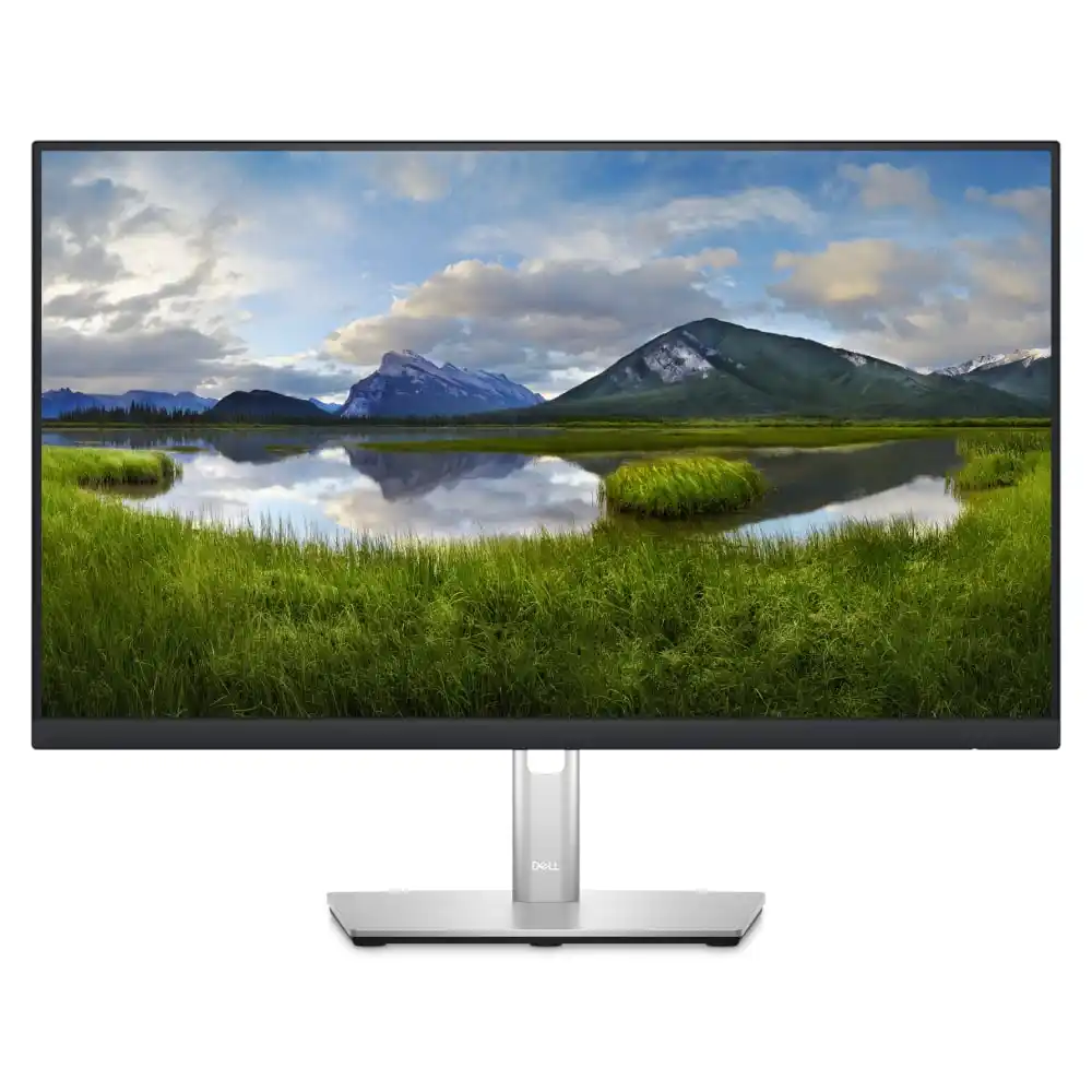 Monitor 24 Dell P2423D 2560x1440/QHD/IPS/60Hz/IPS/5ms/HDMI/DP/4xUSB/Pivot