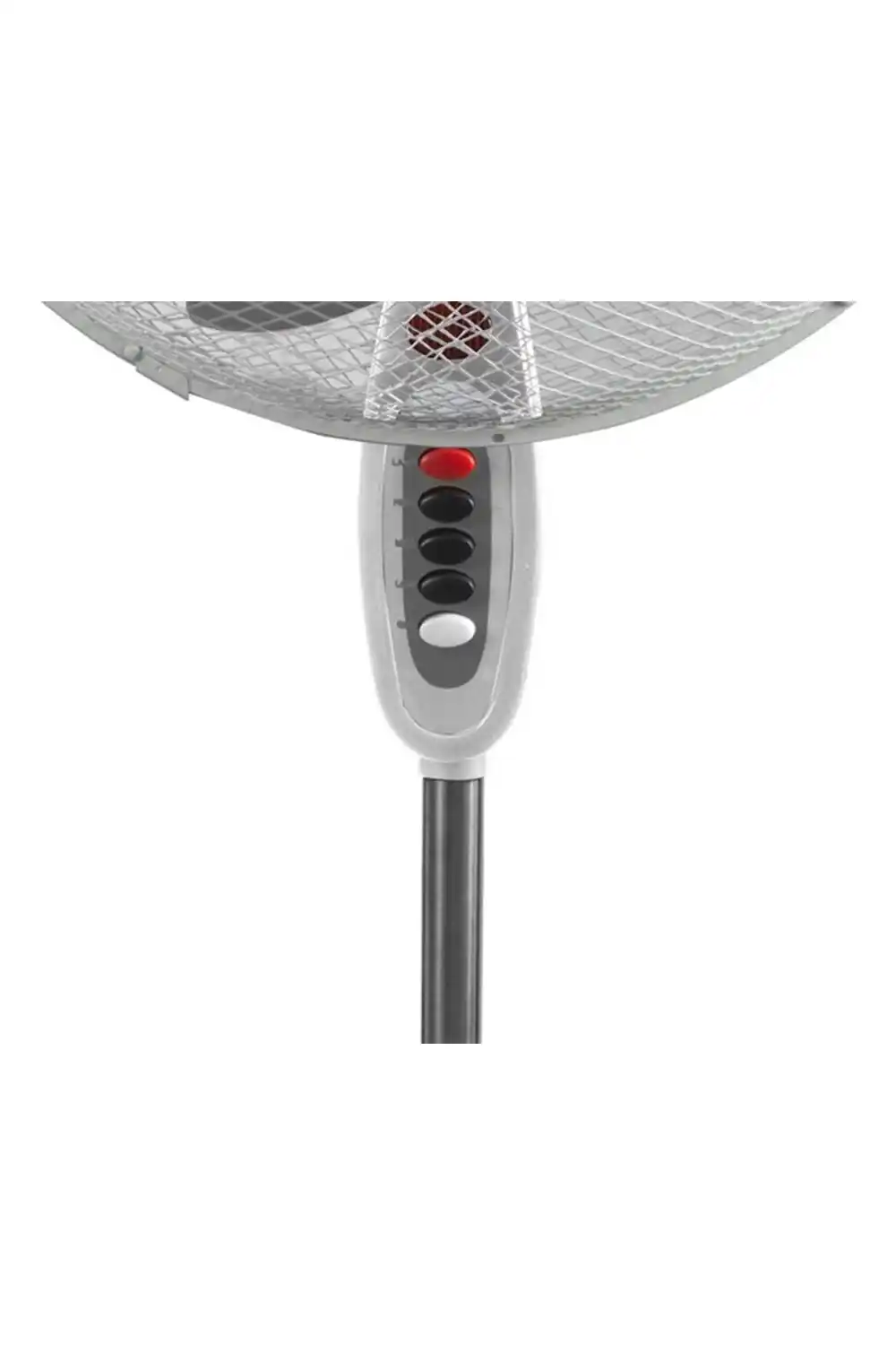 https://www.qolnexvarzi.info/images/products/big/109286.webp