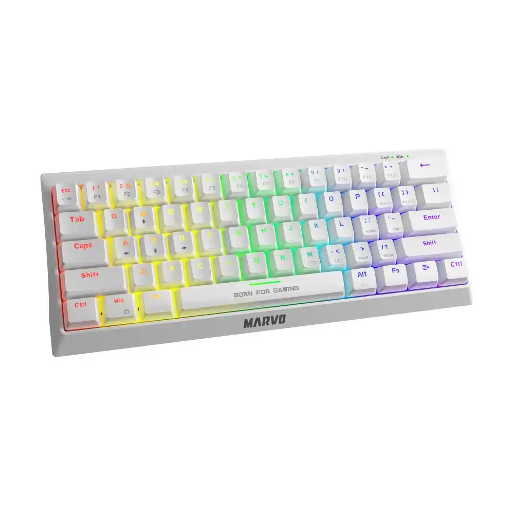 https://www.qolnexvarzi.info/images/products/big/118059.webp