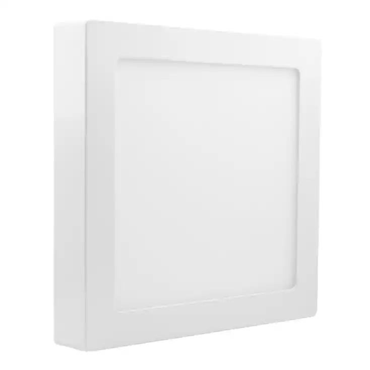 LED nadgradna svetiljka LNP-P24BW