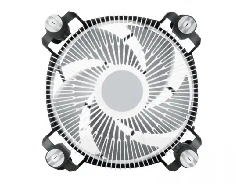 https://www.qolnexvarzi.info/images/products/big/122086.webp