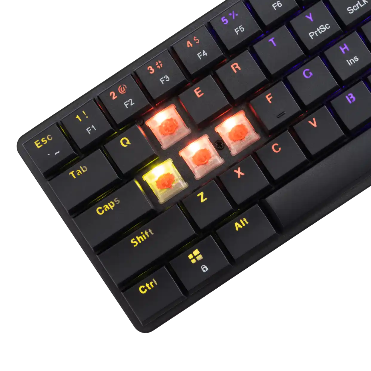https://www.qolnexvarzi.info/images/products/big/125416.webp