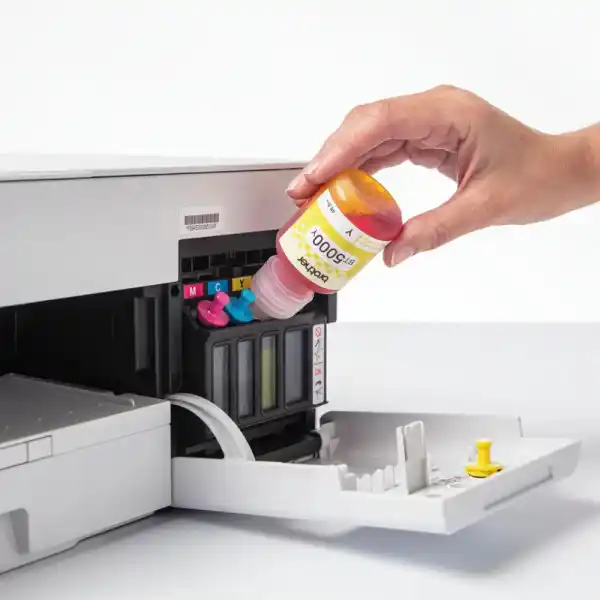 https://www.qolnexvarzi.info/images/products/big/125861.webp