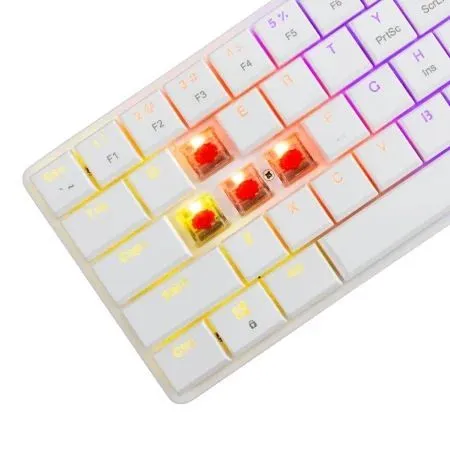 https://www.qolnexvarzi.info/images/products/big/126200.webp
