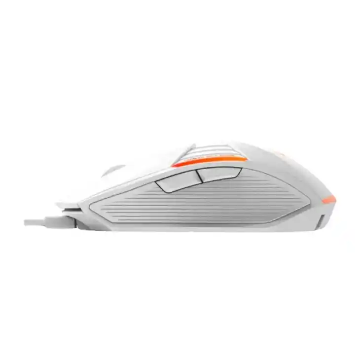 https://www.qolnexvarzi.info/images/products/big/127019.webp