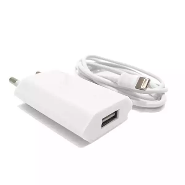 Kućni punjač 2/1  sa kablom Iphone lightning USB 1A