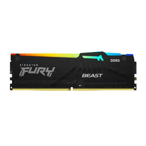 Memorija DDR5 16GB 5600MHz Kingston Fury Beast KF556C36BBEA-16