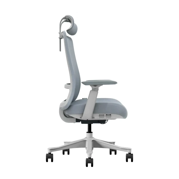 https://www.qolnexvarzi.info/images/products/big/133289.webp