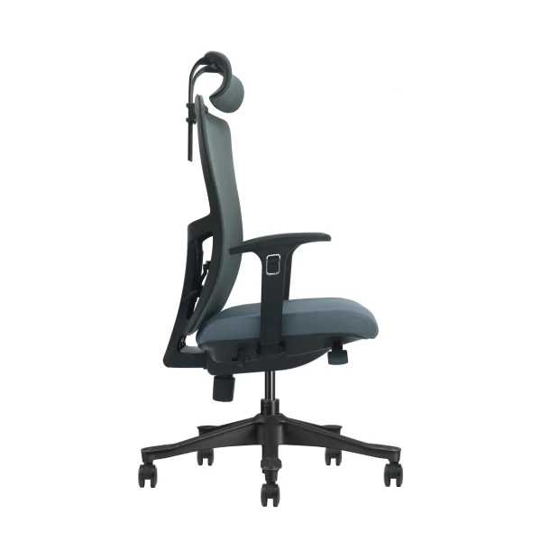 https://www.qolnexvarzi.info/images/products/big/133297.webp