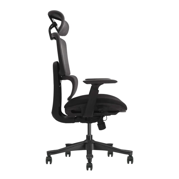 https://www.qolnexvarzi.info/images/products/big/133317.webp