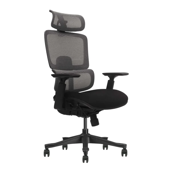 https://www.qolnexvarzi.info/images/products/big/133318.webp
