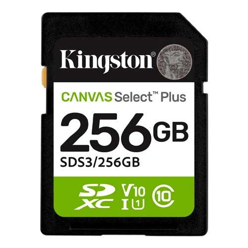 SD Card 256GB Kingston SDS3/256GB class 10