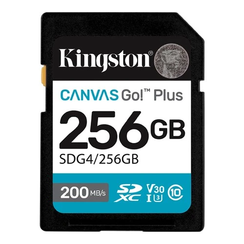 SD Card 256GB Kingston SDG4/256GB class 10 200Mbs/160Mbs