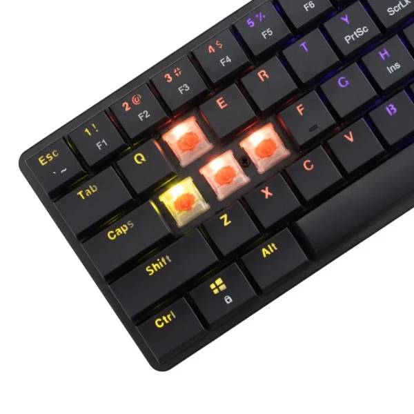 https://www.qolnexvarzi.info/images/products/big/135213.webp
