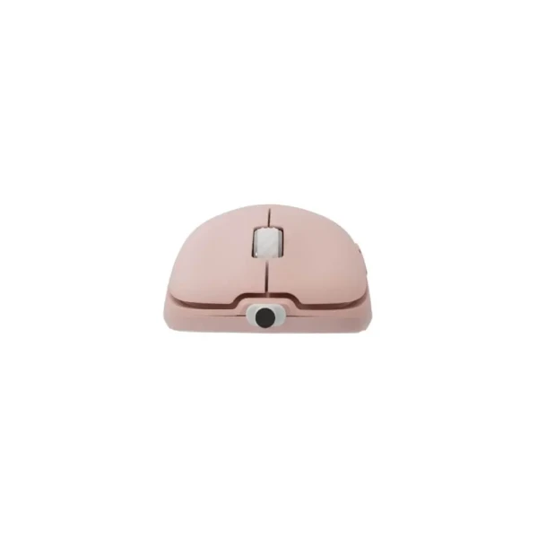 https://www.qolnexvarzi.info/images/products/big/135229.webp
