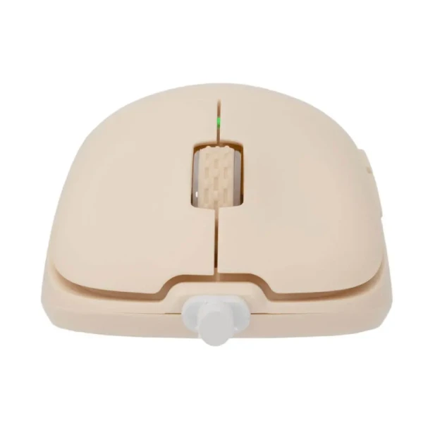 https://www.qolnexvarzi.info/images/products/big/135237.webp