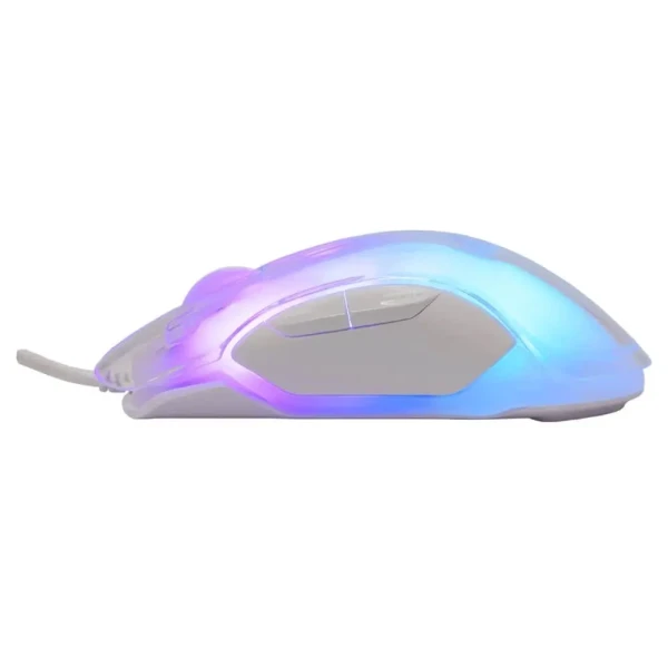 https://www.qolnexvarzi.info/images/products/big/135245.webp