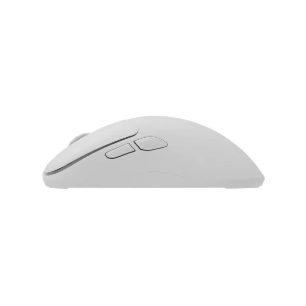 https://www.qolnexvarzi.info/images/products/big/135248.webp