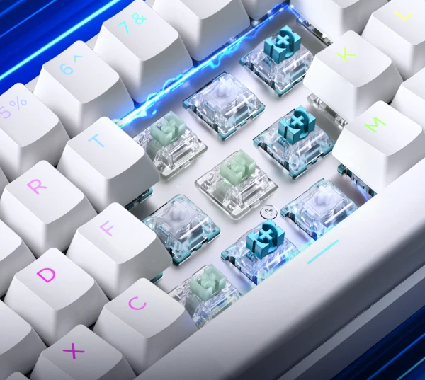 https://www.qolnexvarzi.info/images/products/big/135563.webp