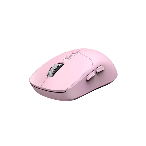 https://www.qolnexvarzi.info/images/products/big/137105.webp