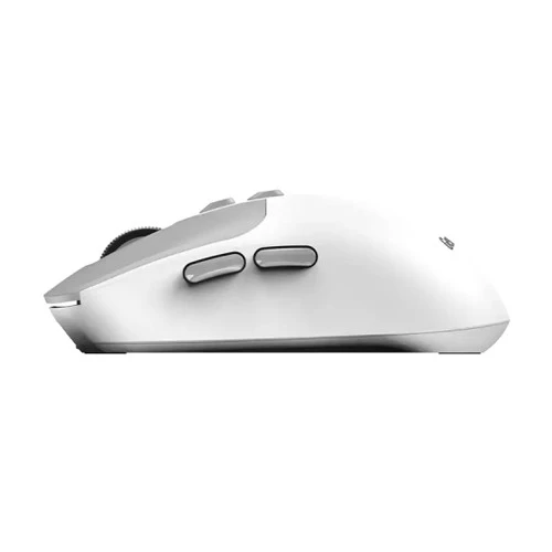 https://www.qolnexvarzi.info/images/products/big/137108.webp