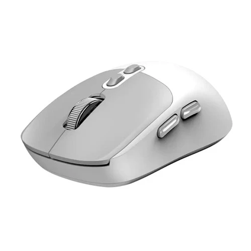 https://www.qolnexvarzi.info/images/products/big/137110.webp