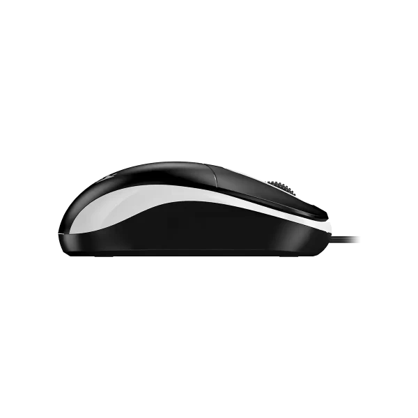 https://www.qolnexvarzi.info/images/products/big/137124.webp