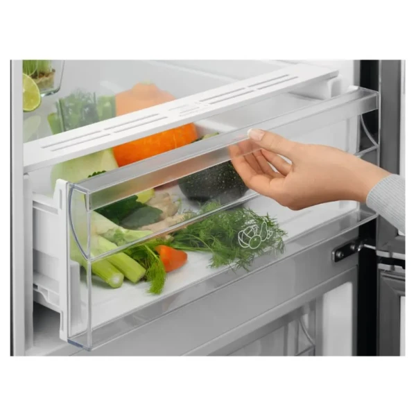 https://www.qolnexvarzi.info/images/products/big/141246.webp