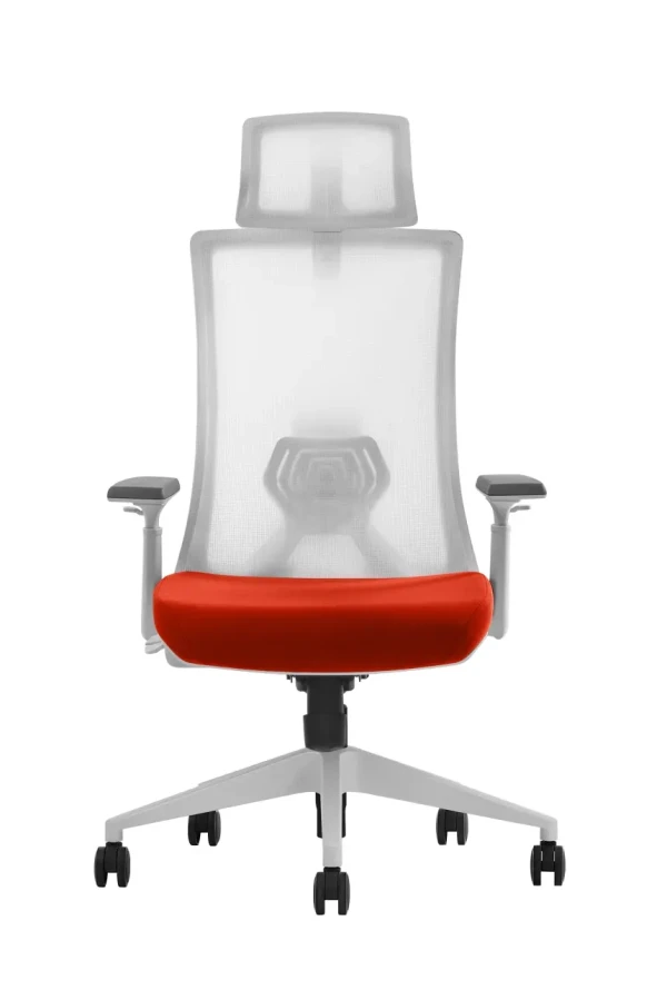 https://www.qolnexvarzi.info/images/products/big/141676.webp