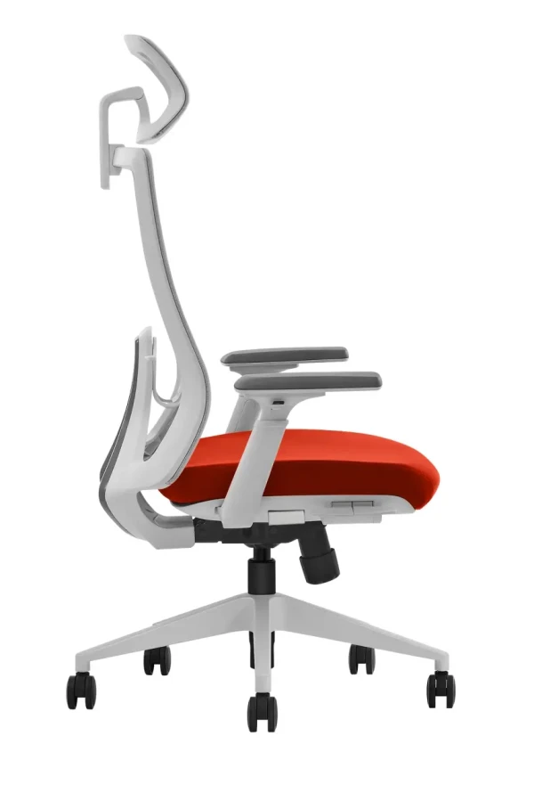 https://www.qolnexvarzi.info/images/products/big/141677.webp