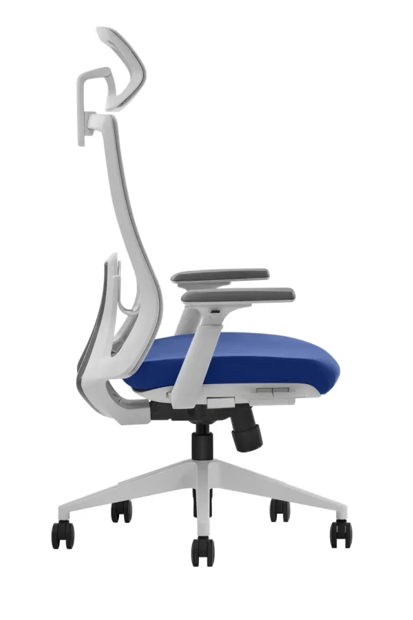 https://www.qolnexvarzi.info/images/products/big/141679.webp