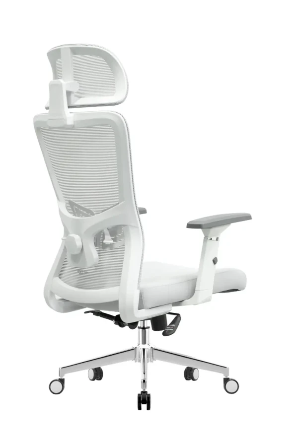 https://www.qolnexvarzi.info/images/products/big/141687.webp
