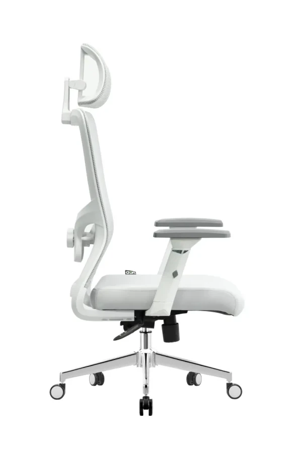 https://www.qolnexvarzi.info/images/products/big/141688.webp