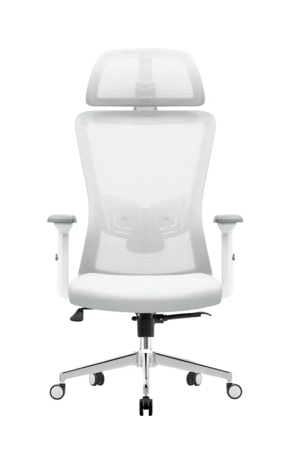 https://www.qolnexvarzi.info/images/products/big/141689.webp