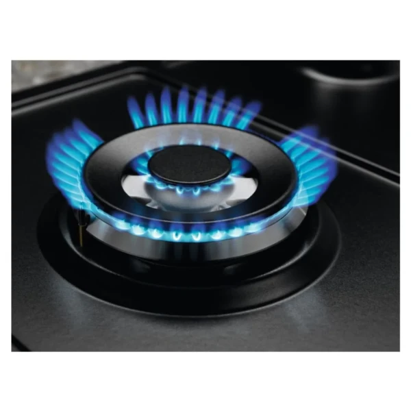 https://www.qolnexvarzi.info/images/products/big/143998.webp