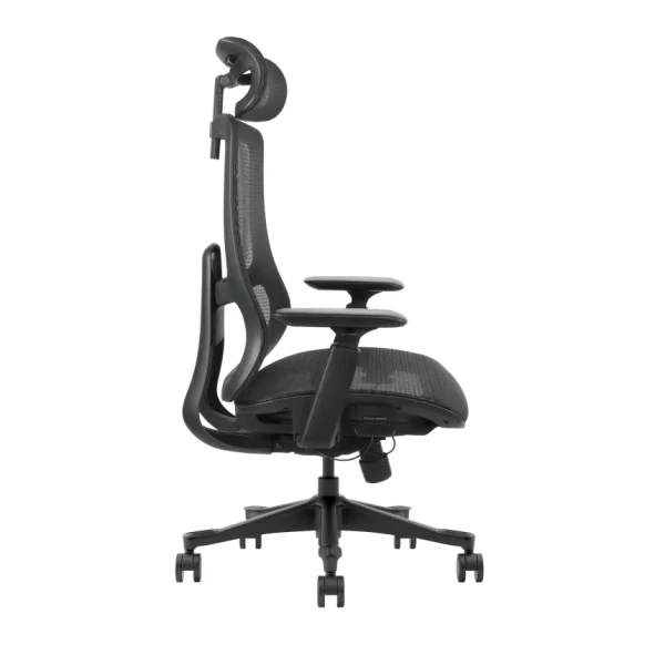 https://www.qolnexvarzi.info/images/products/big/144520.webp
