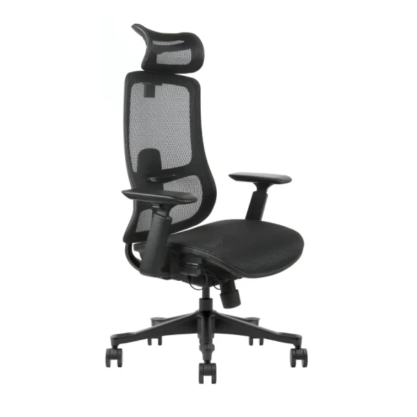 https://www.qolnexvarzi.info/images/products/big/144521.webp