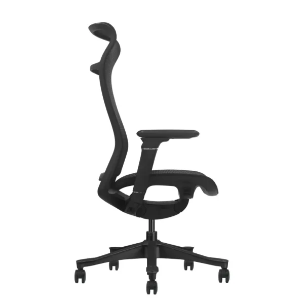 https://www.qolnexvarzi.info/images/products/big/144525.webp