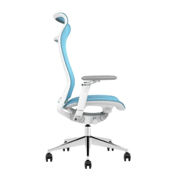 https://www.qolnexvarzi.info/images/products/big/144528.webp