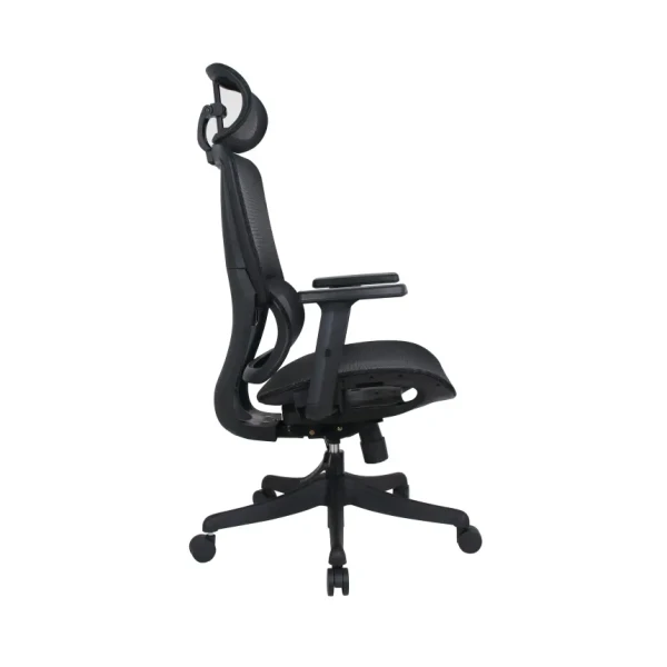 https://www.qolnexvarzi.info/images/products/big/144535.webp