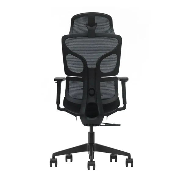 https://www.qolnexvarzi.info/images/products/big/144539.webp