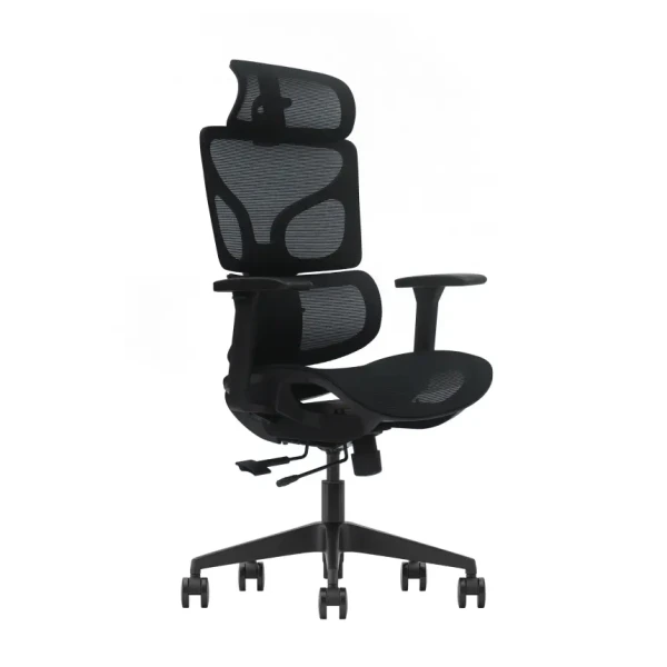 https://www.qolnexvarzi.info/images/products/big/144540.webp