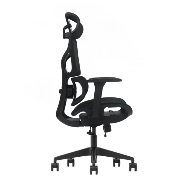 https://www.qolnexvarzi.info/images/products/big/144541.webp