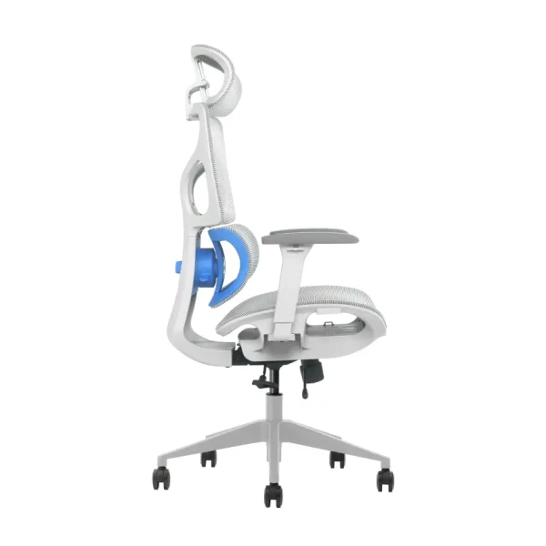 https://www.qolnexvarzi.info/images/products/big/144544.webp