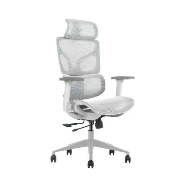 https://www.qolnexvarzi.info/images/products/big/144545.webp