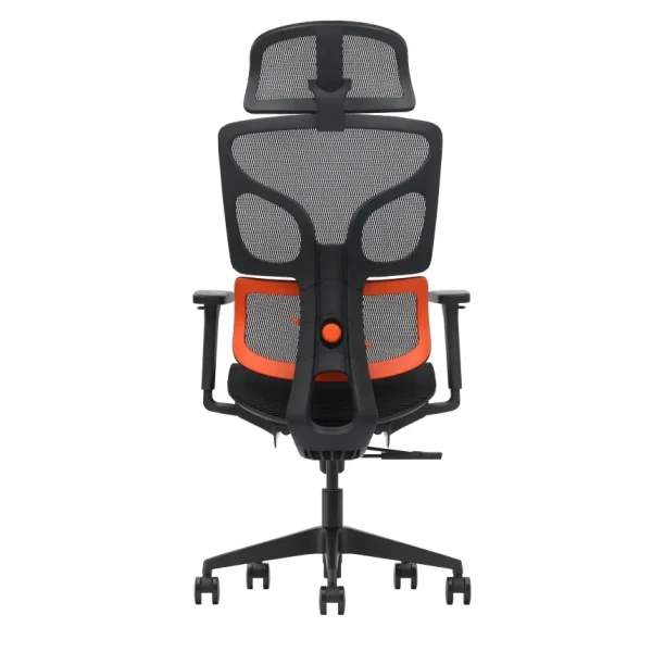 https://www.qolnexvarzi.info/images/products/big/144548.webp