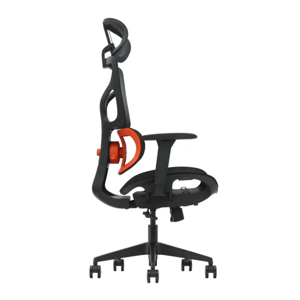 https://www.qolnexvarzi.info/images/products/big/144549.webp